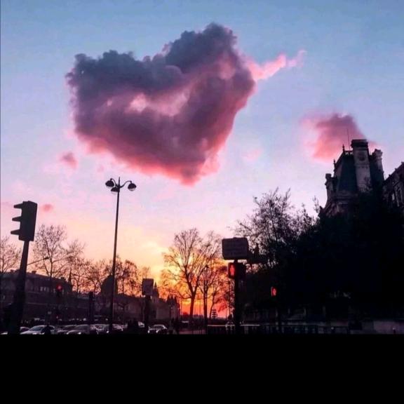 幼儿园～扛把子🍃