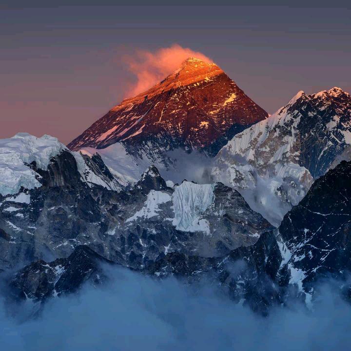 (｡•ˇ‸ˇ•｡)