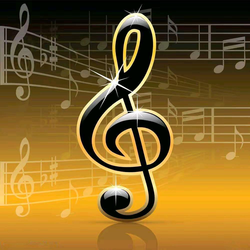 地里夏提·歌手