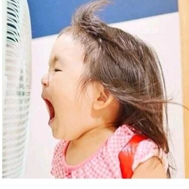 再来一个小面包