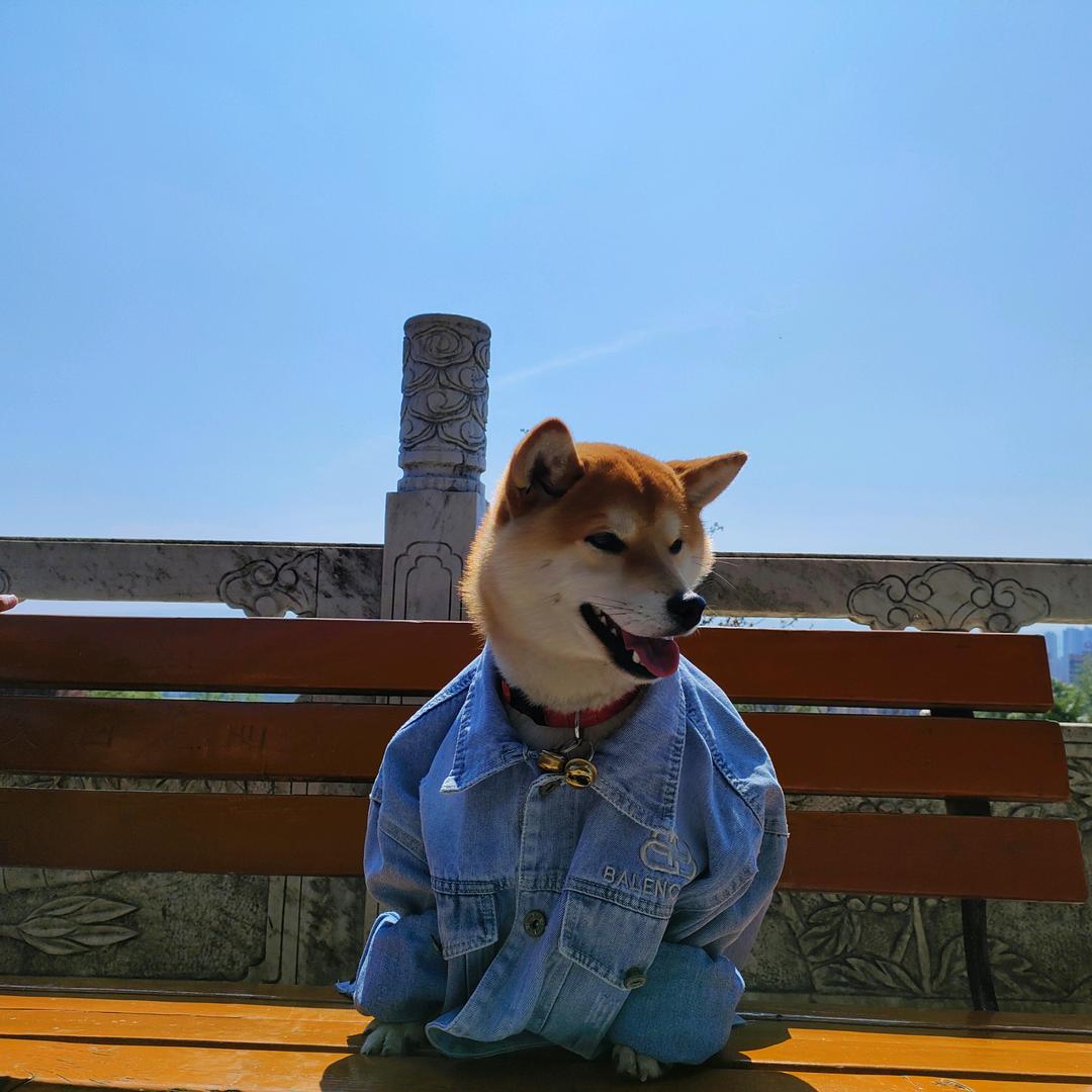 幸运℃缺钱💰花