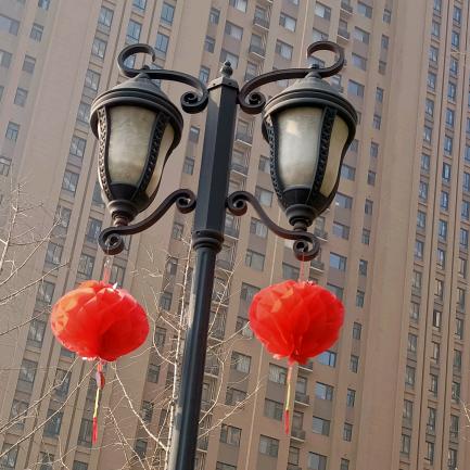 关于我爸的小视频