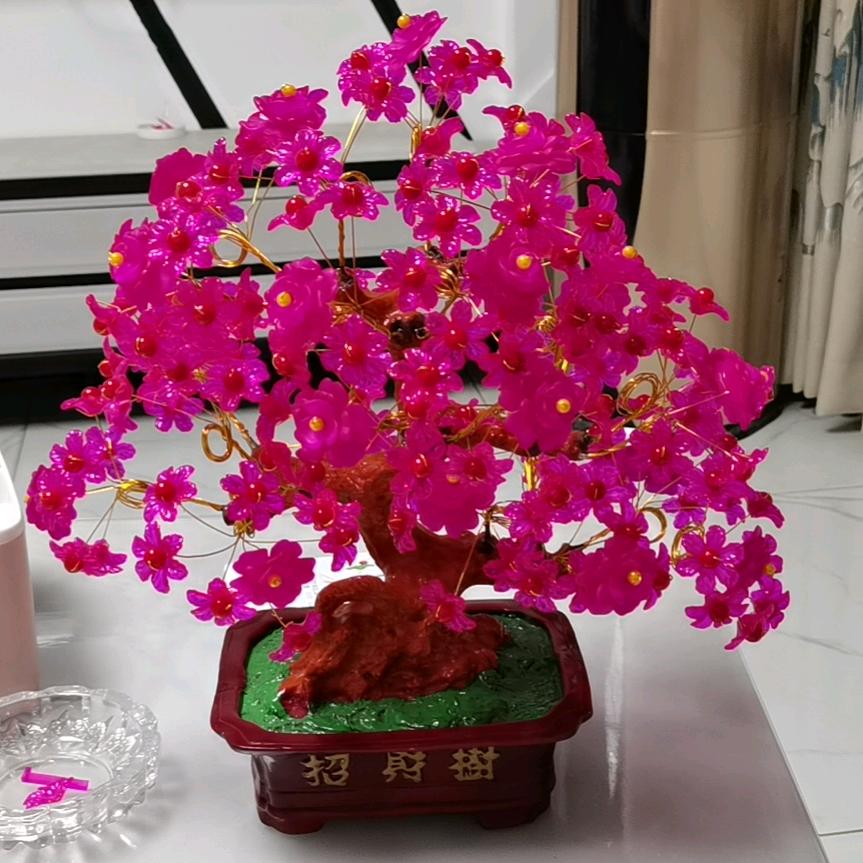 S苏威王博汽修中心官方号