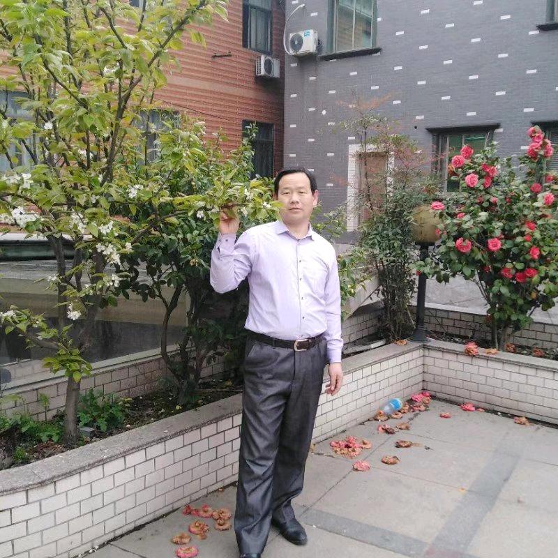 红豆寄相思