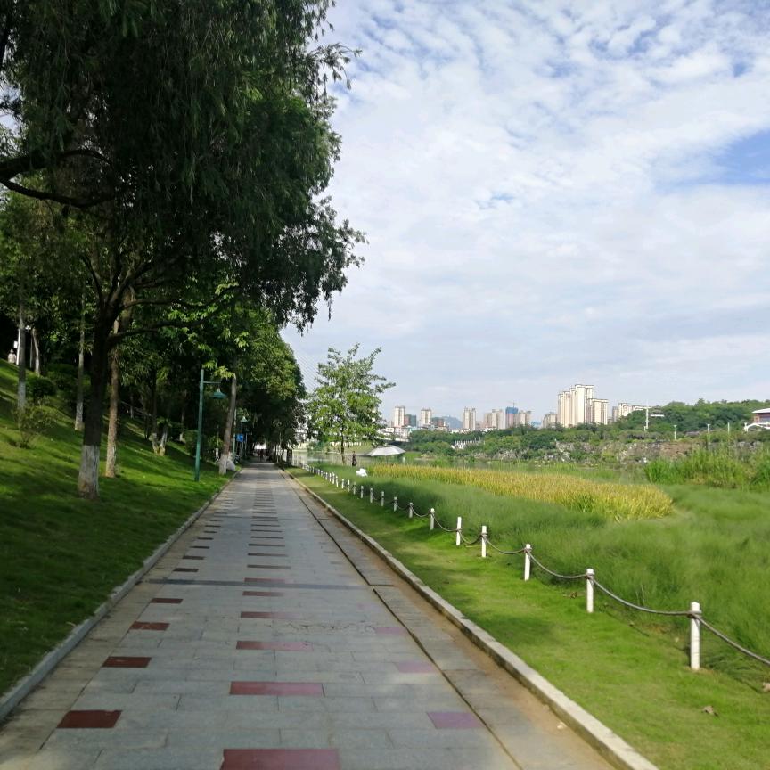 阿瓦尔古丽