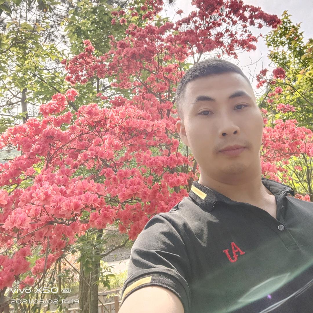 林黑三
