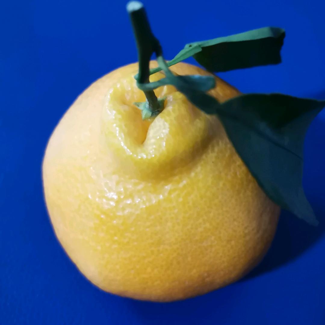 千玺好物（服饰工厂）
