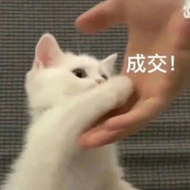 柒月_