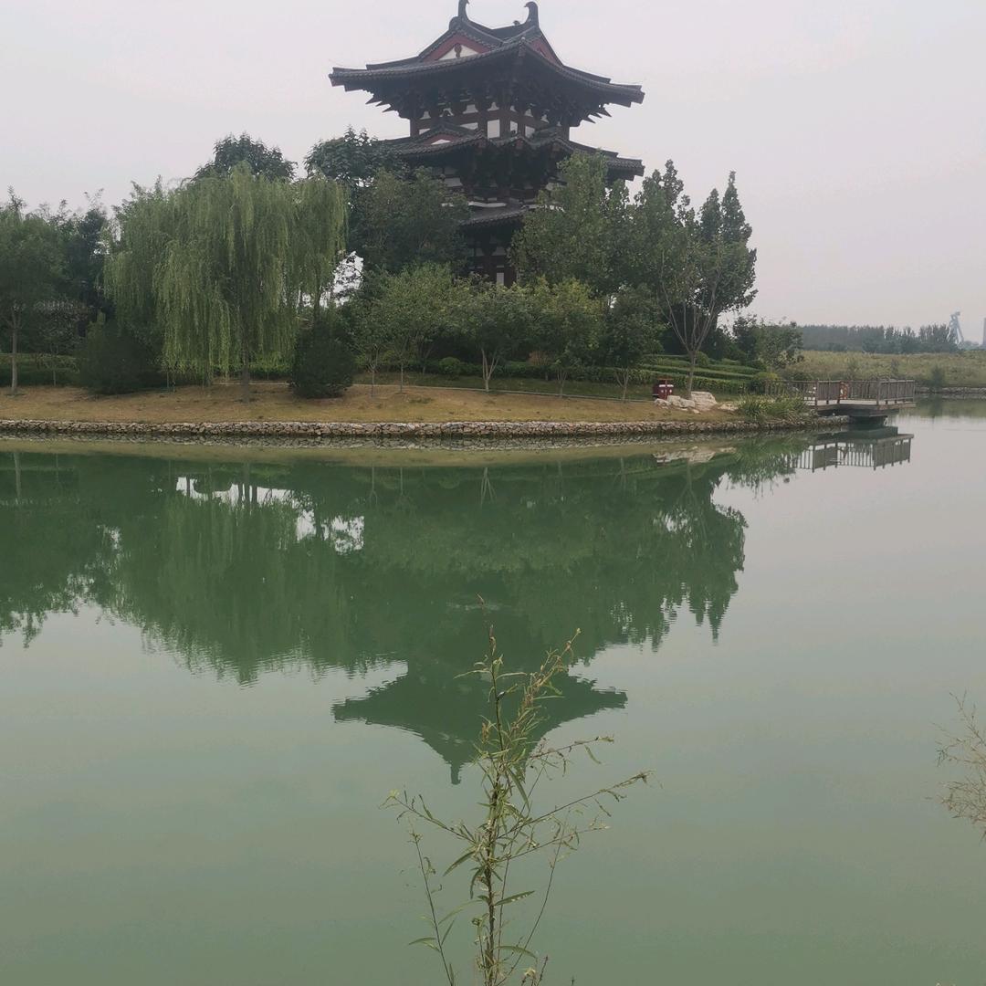 幸福舞蹈团老大～风雪佳人