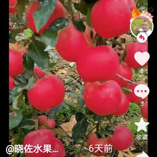 -生幸福