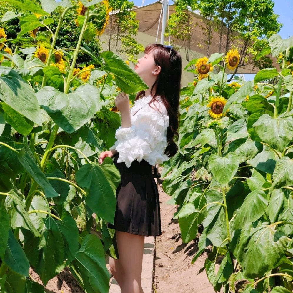 🌸小莫.