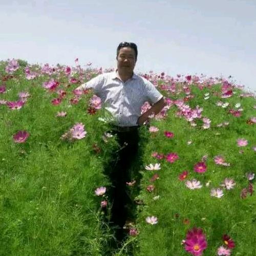 西部阳光。