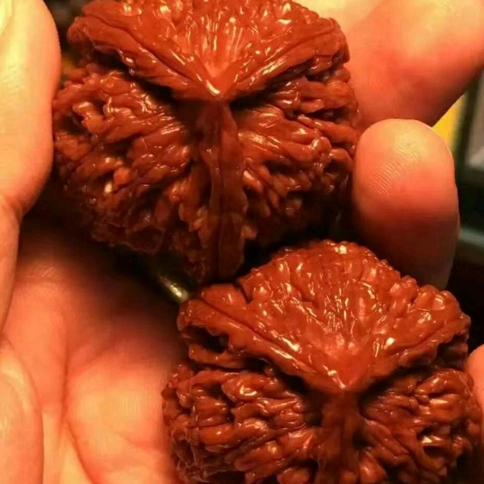强哥文玩核桃1