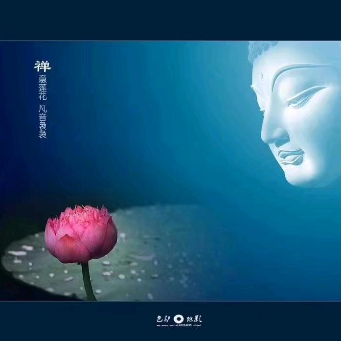 一生菩提