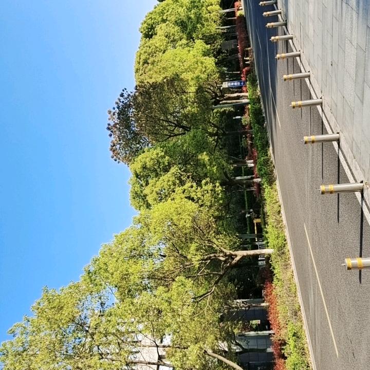 你的修车前男友。