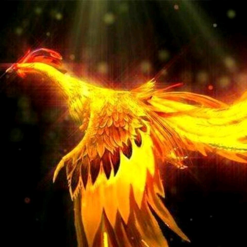 铭品渔具风筝批发白沟商贸城1723号