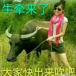 杨杨《》得亿88888888