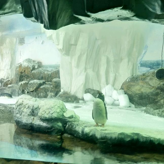 天佑我心(临湘市九华渔具厂)