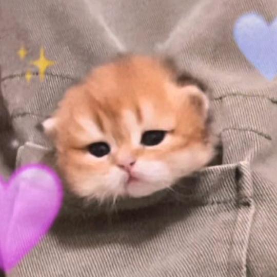 心怡的展派高优品店