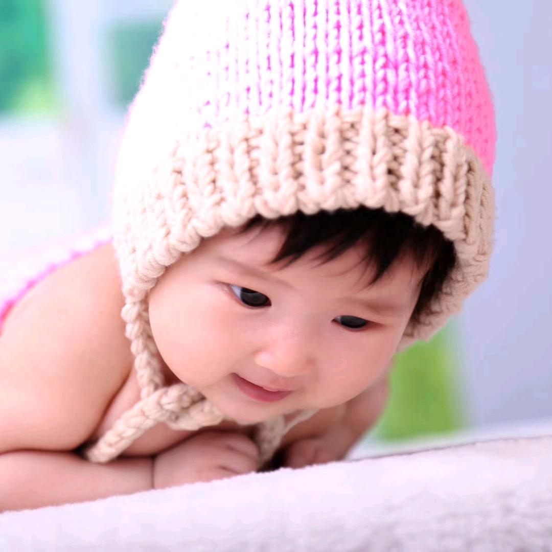 声燕家禽经销部