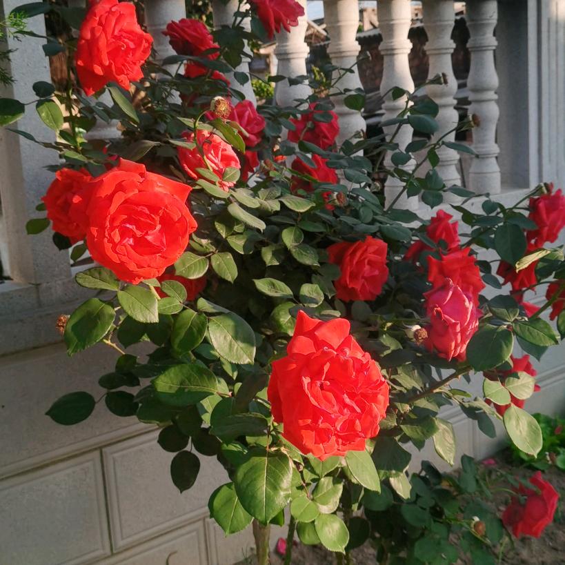 心念不忘@初心牢记使命@