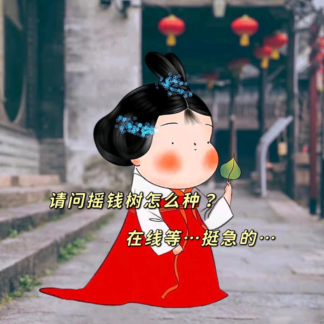 西街大众