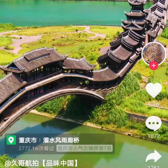 龍大
