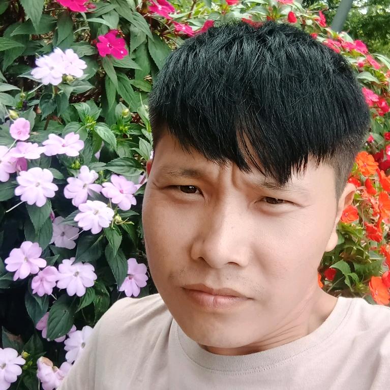 曹鹏