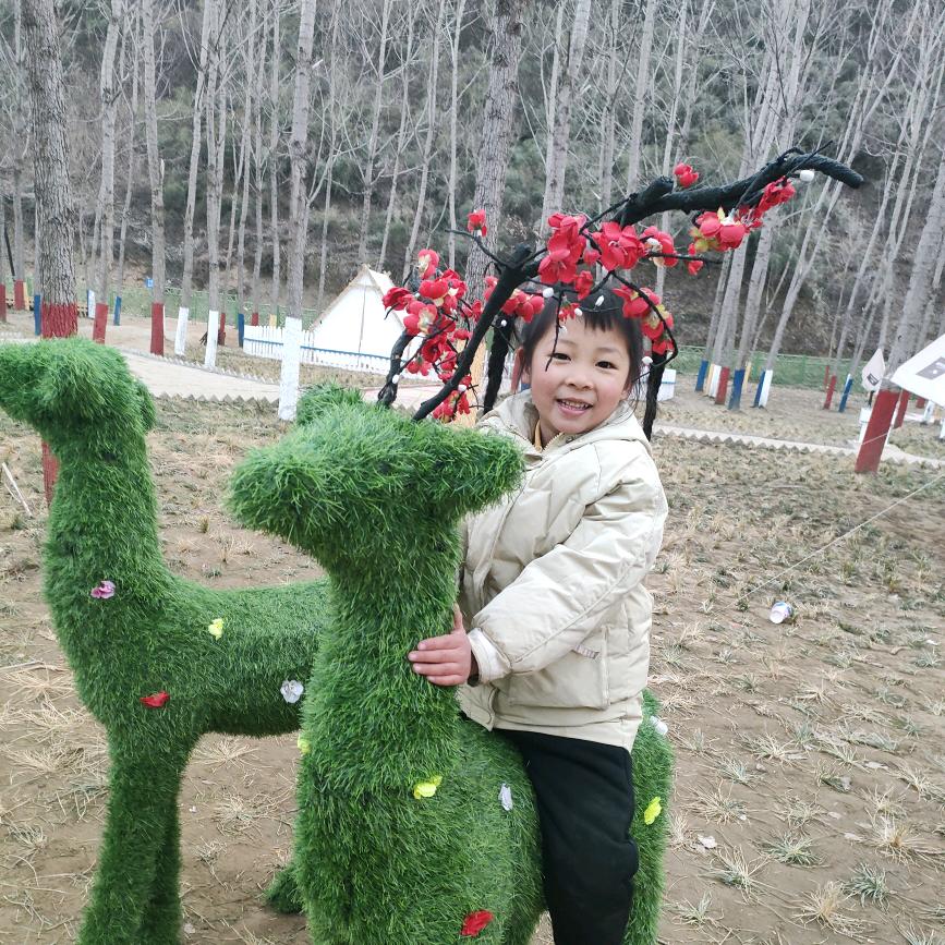 小燕子🍀🍀🍀