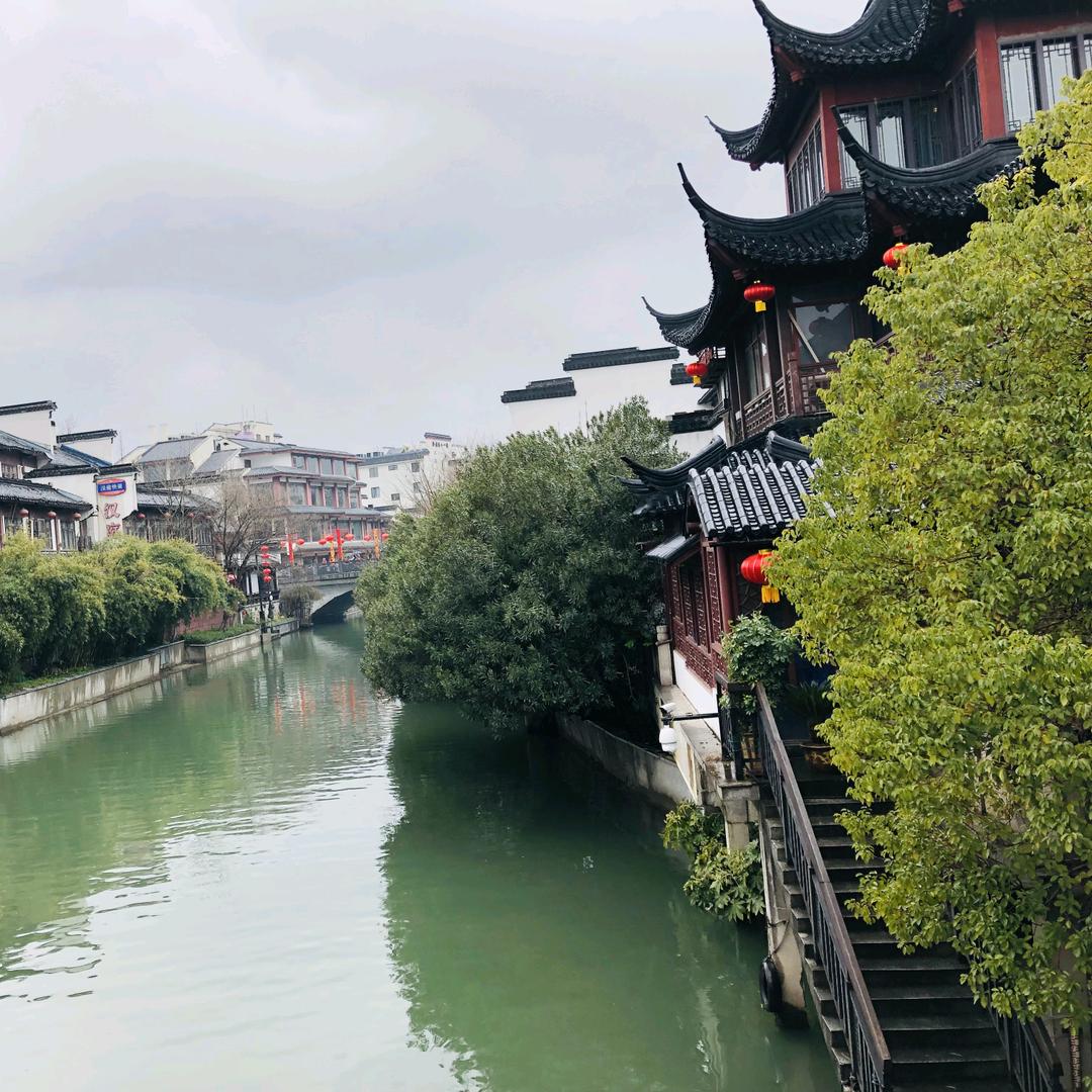 金钱草