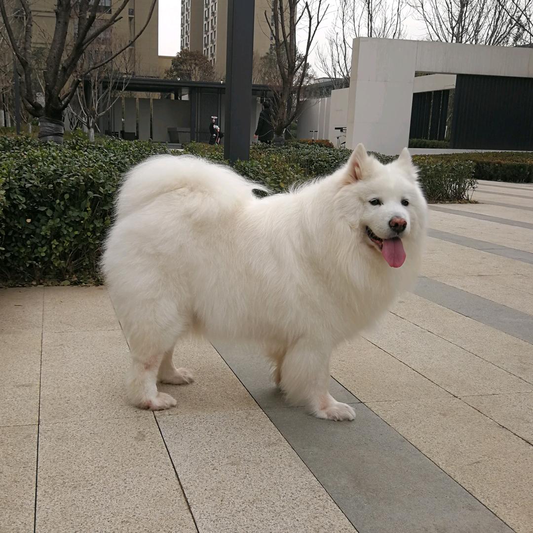 诚实