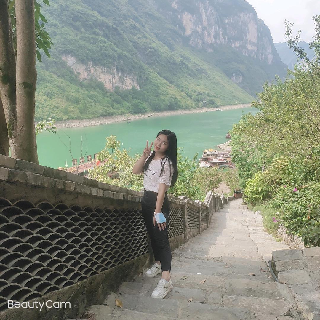 一颗小竹荪