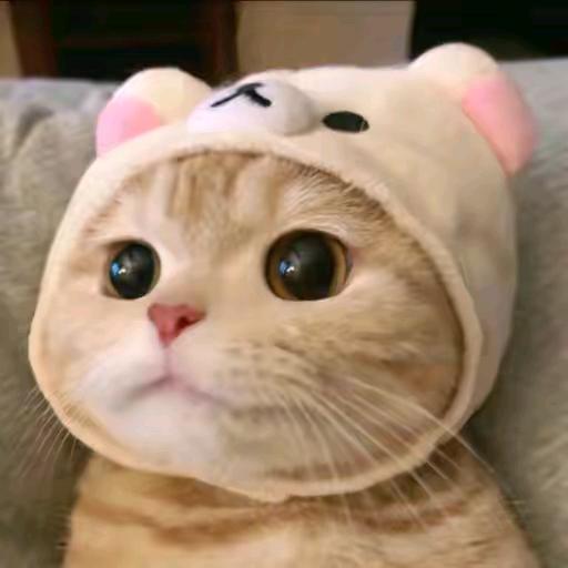 孙头像