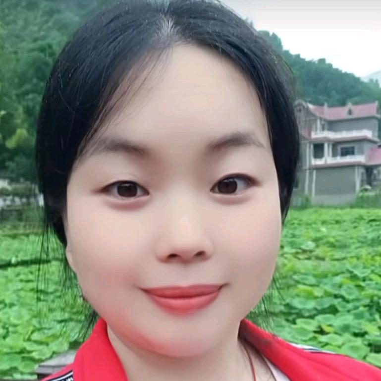 我是刺猬