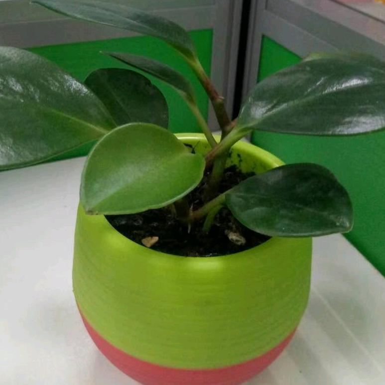 珍惜拾光
