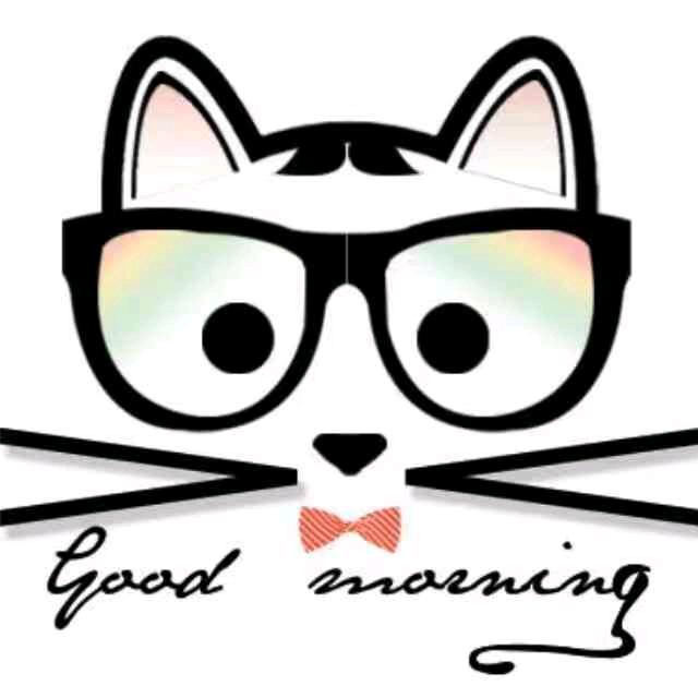 猫咛先生