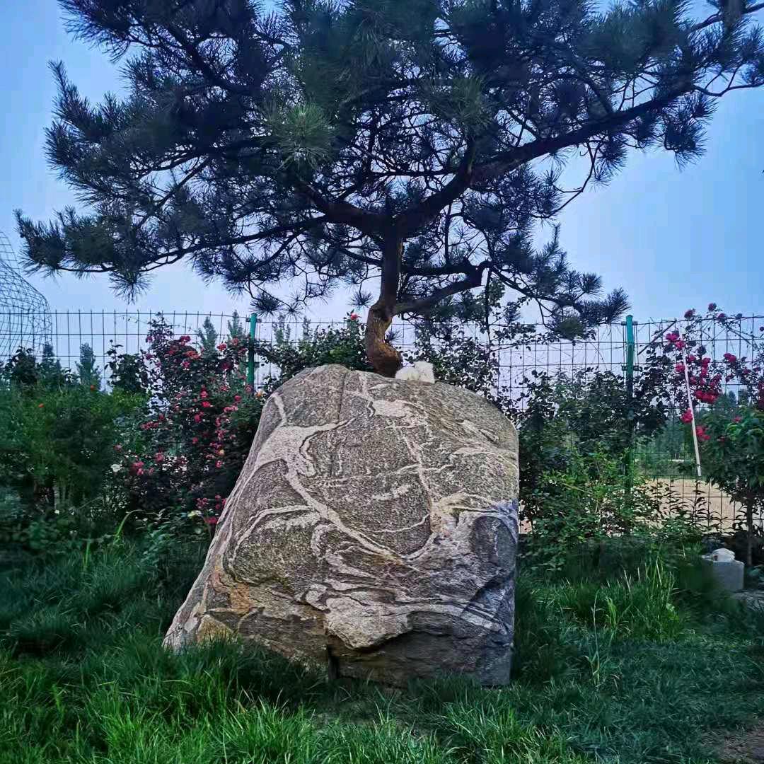 风