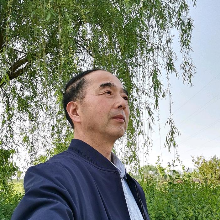 梦回长安