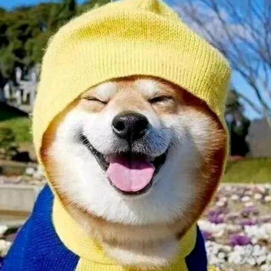 康师傅儿