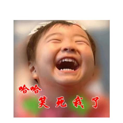 龙哥