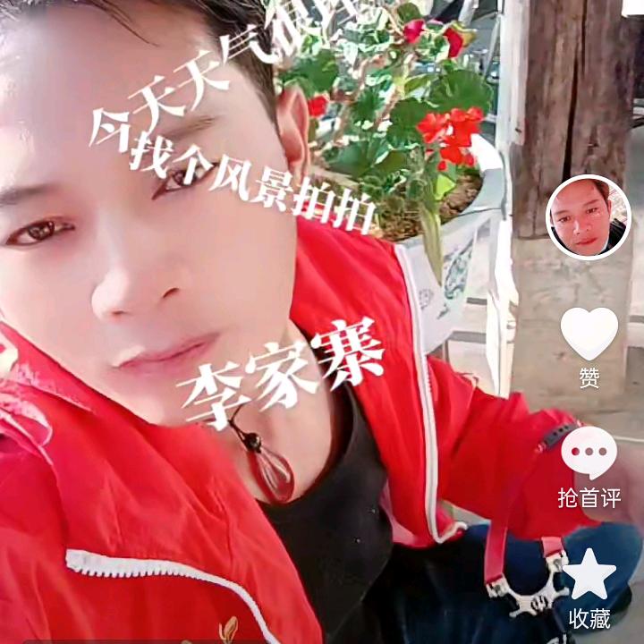 龙陵小杨
