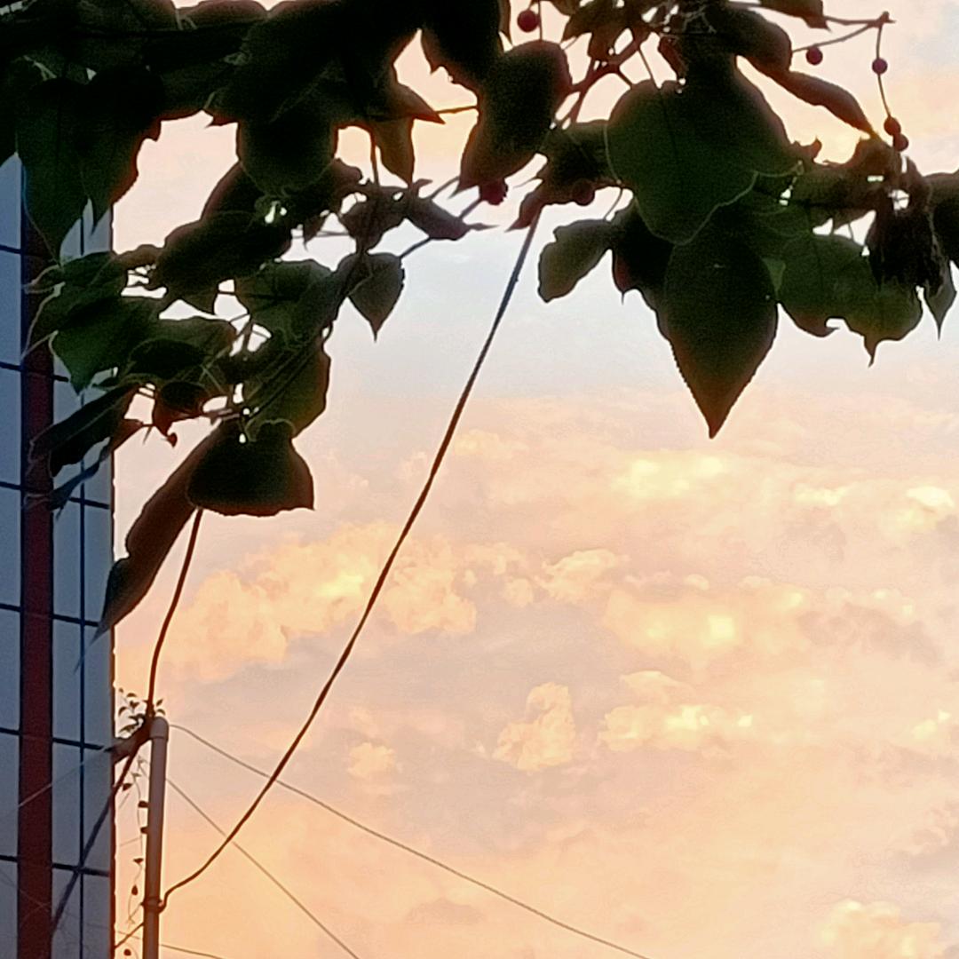 好好