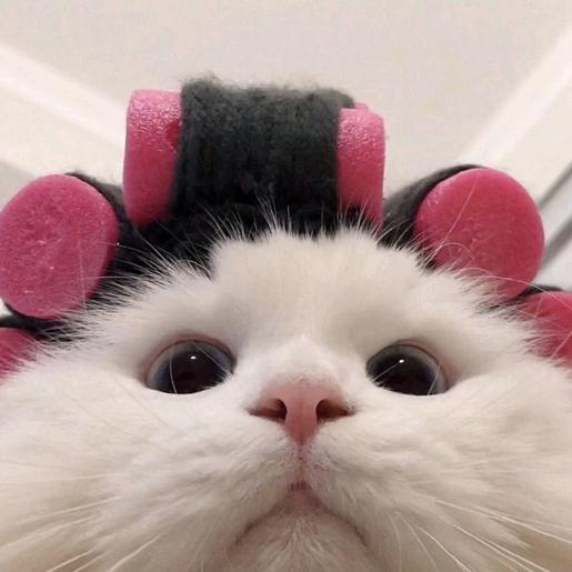 松坂砂糖