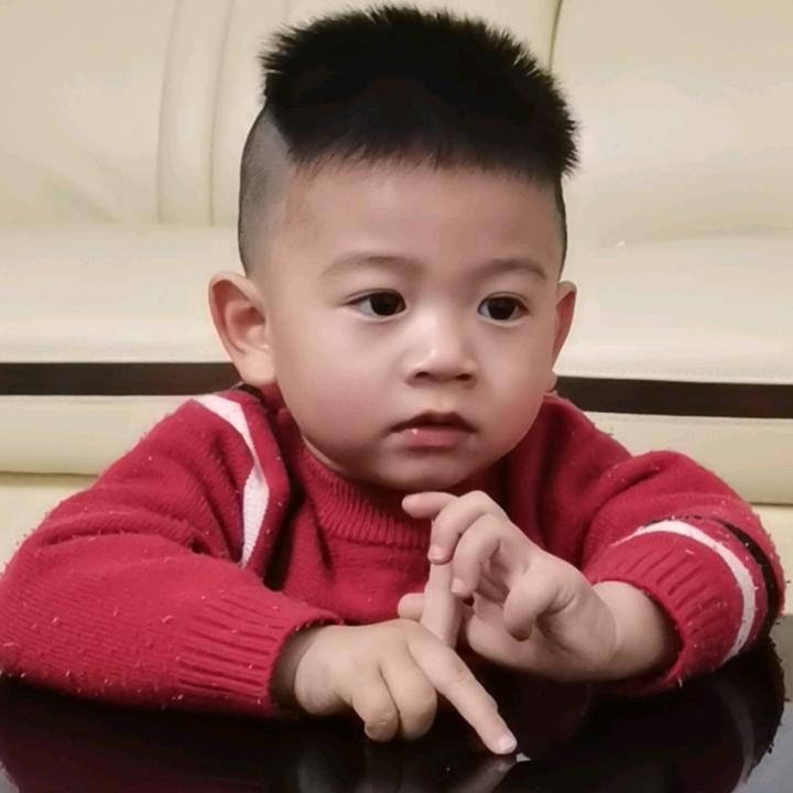 泓政