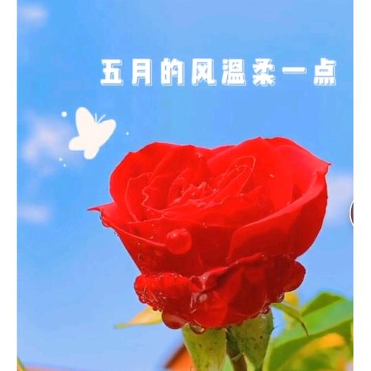 小悦2018头像