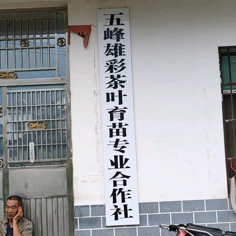 万雄茶叶专业合作社