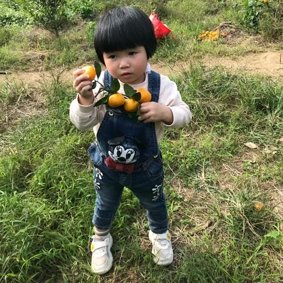 汽车美容@仔@