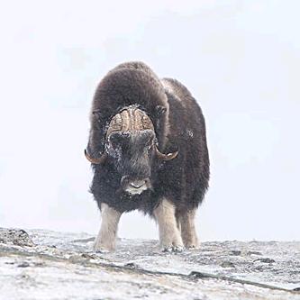 磨床服务源头厂家