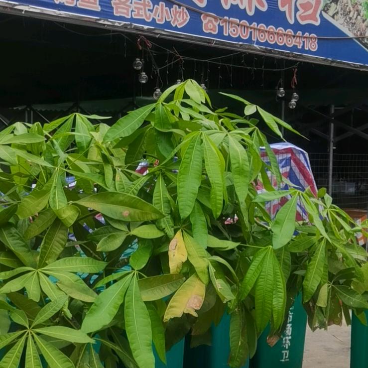 🏹⛹️🏒🏓🏈🚣🏊🏆