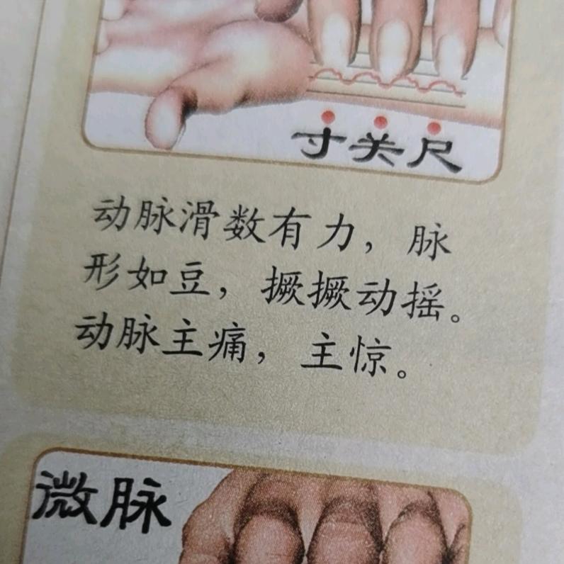 森  烨｛修 远｝